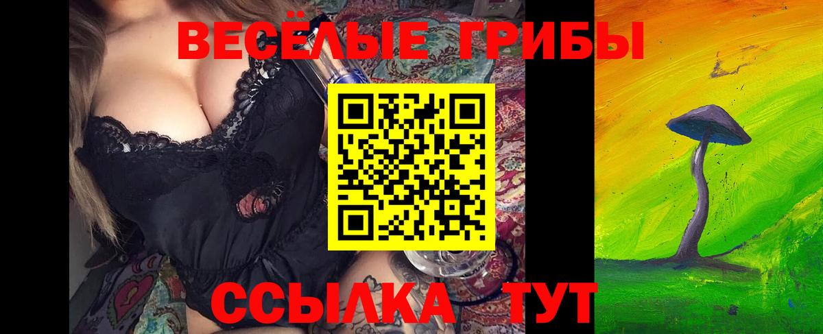 Галлюциногенные грибы Psilocybine cubensis Обь