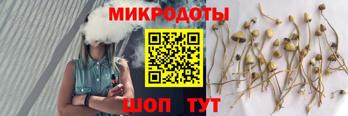 Галлюциногенные грибы Psilocybine cubensis  Вход с VPN  Галлюциногенные грибы Psilocybe  наркошоп  Обь 